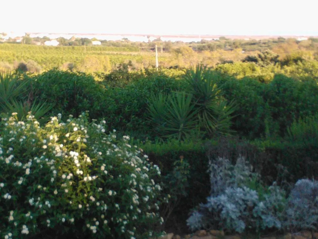 Penzion Quinta Da Moura Casa-De-Campo Tavira Portugalsko